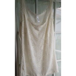 Plus size lace lingerie/cami top